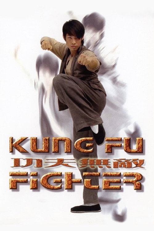Movie poster for Kung Fu Fighter (2007)