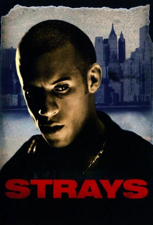 Movie poster for Strays (1997)
