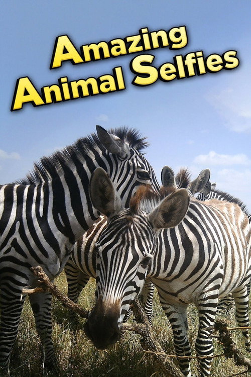 Movie poster for Amazing Animal Selfies (2016)