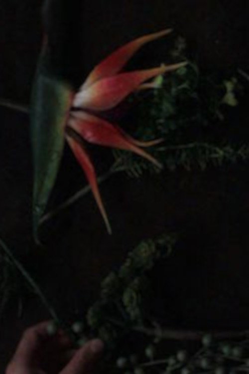 Movie poster for still life composition 'an accompaniment for life' (2015)