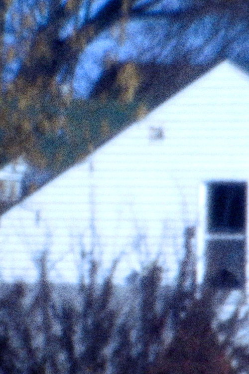 Movie poster for Winter Wept (2022)