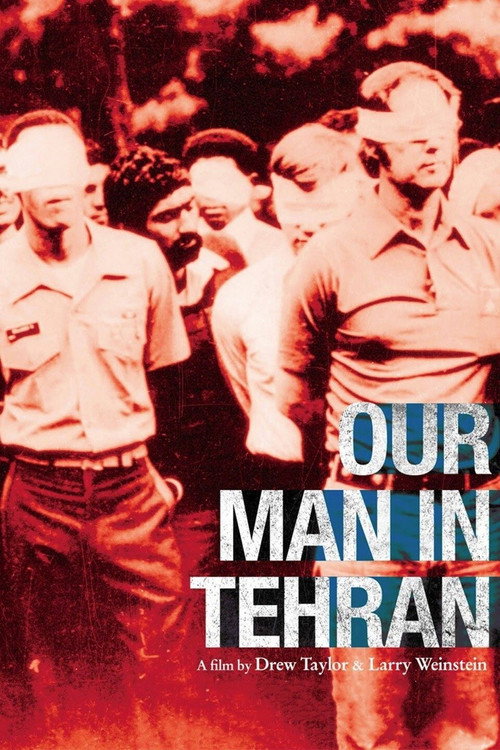 Movie poster for Our Man in Tehran (2013)
