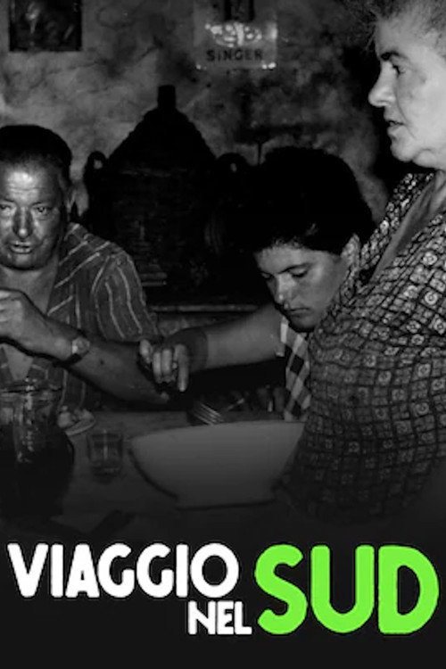 Viaggio nel Sud poster