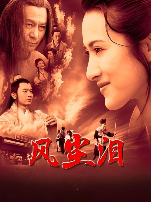 风尘泪 poster