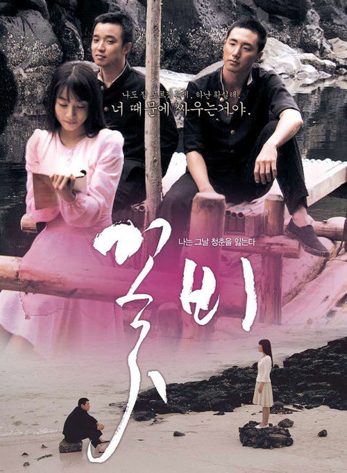 Movie poster for Sadness in Beauty (2010)