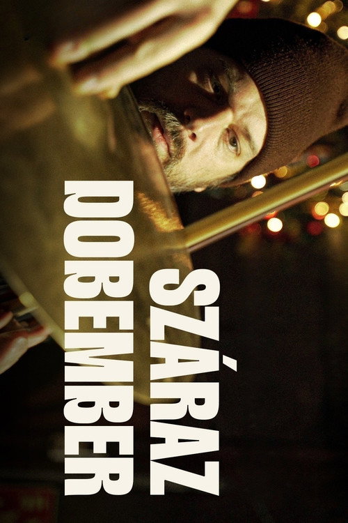 Movie poster for Száraz dobember (2024)