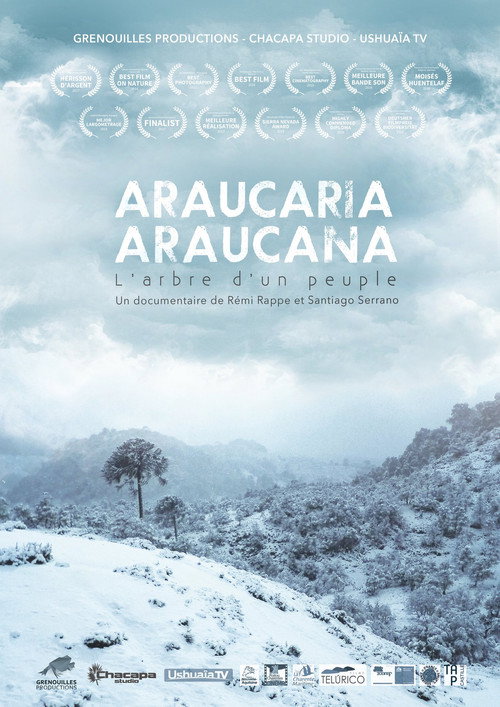 Movie poster for Araucaria Araucana (2018)