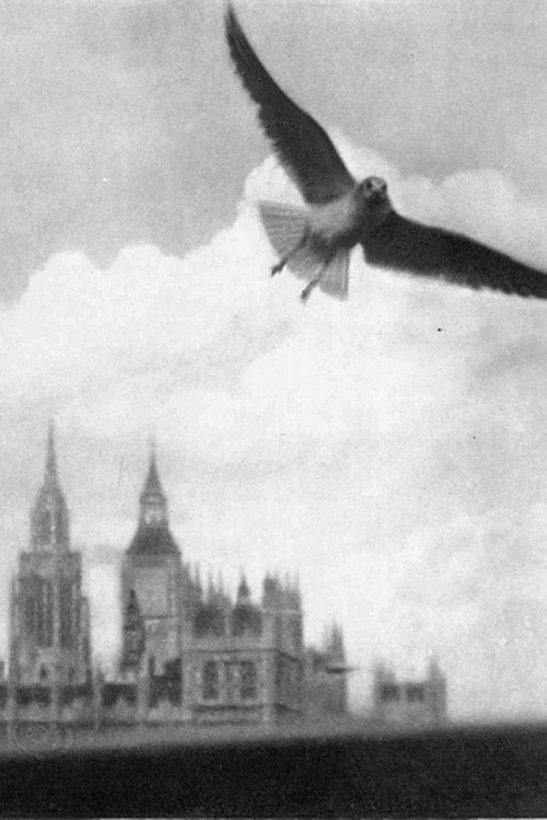 Movie poster for London Visitors (1936)