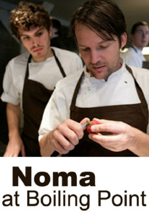 Movie poster for Noma at Boiling Point (2008)