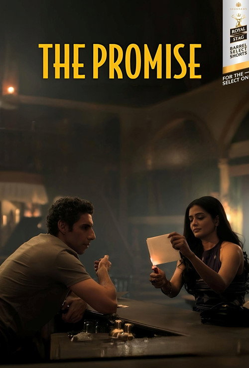 Movie poster for The Promise (2025)