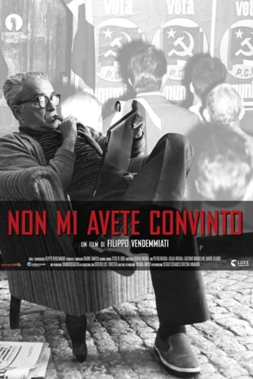 Movie poster for Non mi avete convinto (2012)