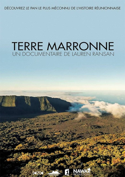 Movie poster for Terre marronne (2015)