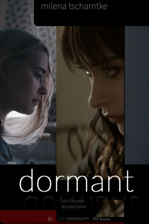 Movie poster for Dormant (2023)
