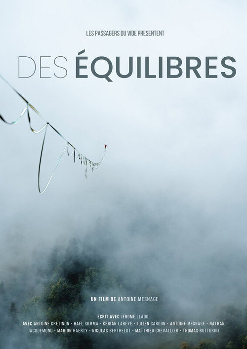 Movie poster for Des équilibres (2024)