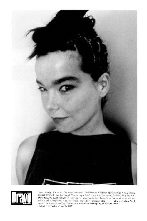 Movie poster for Bravo Profiles: Björk (1997)