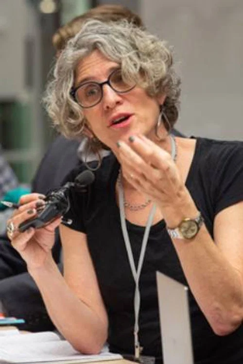Photo of Alexandra Juhasz, Directing