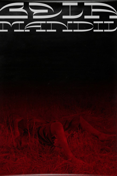 Movie poster for Bela Mandil (2019)