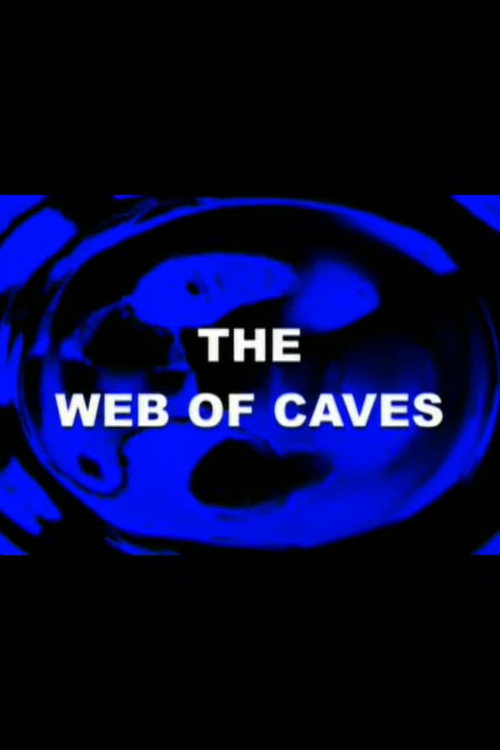 Movie poster for The Web of Caves (1999)