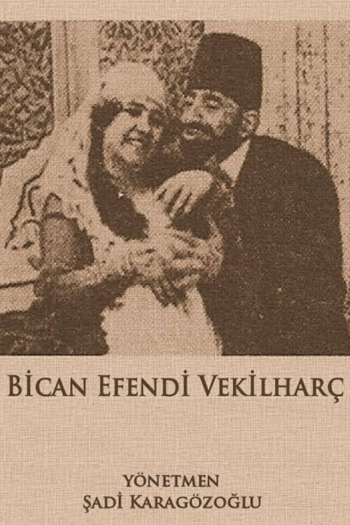Movie poster for Custodian Bican (1921)