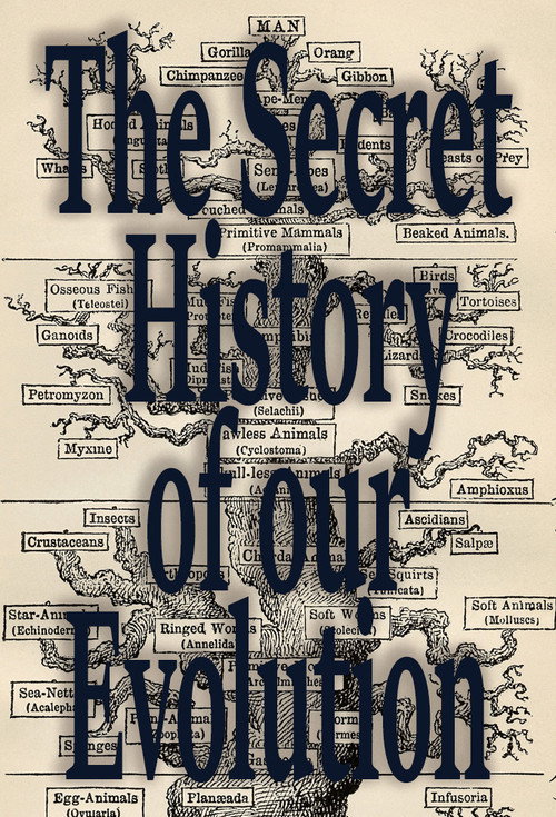 Series poster for L'Histoire Secrète de notre Évolution (2018)