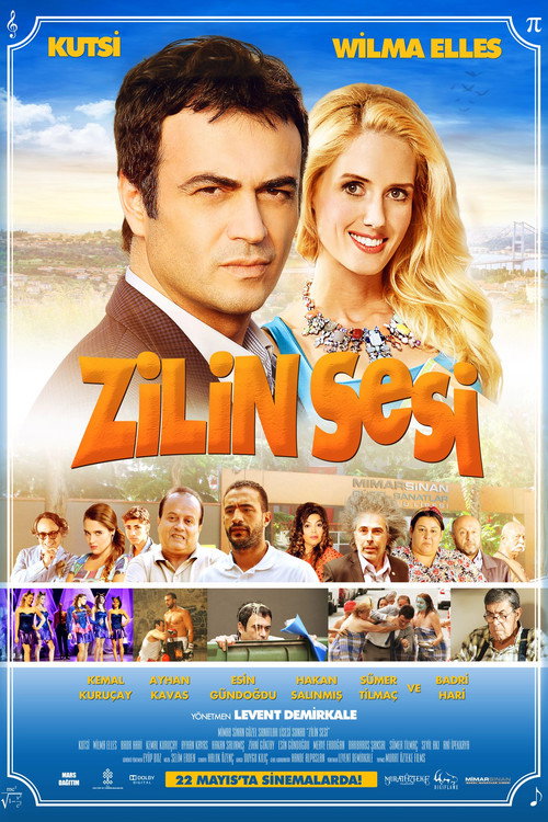 Movie poster for Zilin Sesi (2015)