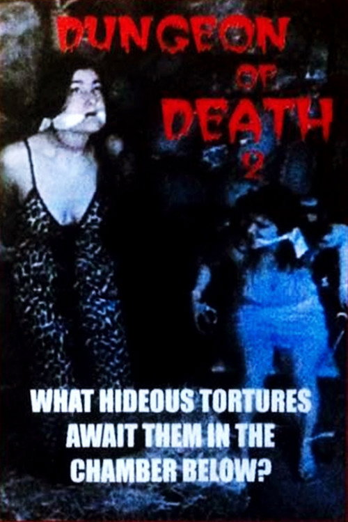 Movie poster for Dungeon of Death 2 (1998)