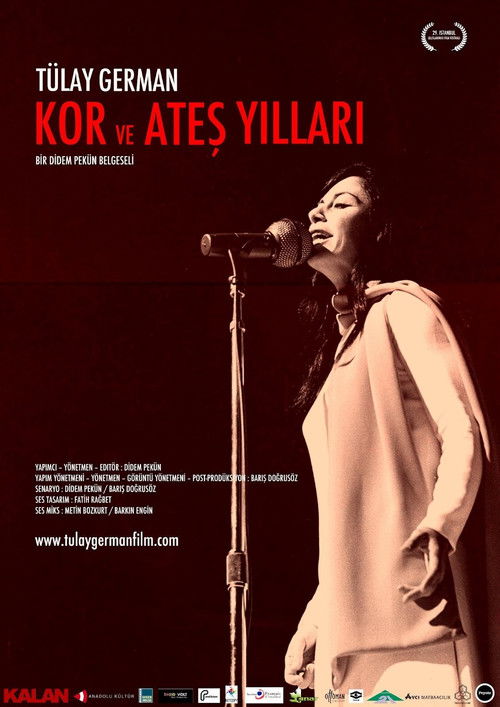 Movie poster for Tulay German - Years of Fire and Cinders (2010)