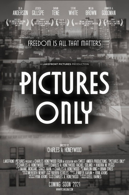 Movie poster for Pictures Only (2021)