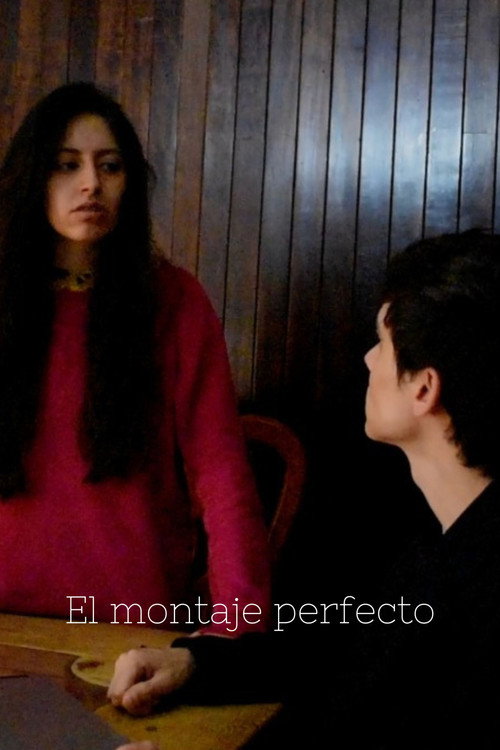 Movie poster for El montaje perfecto (2021)