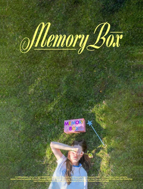 Movie poster for MEMORY BOX