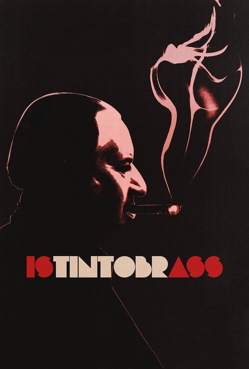 Movie poster for Istintobrass (2013)
