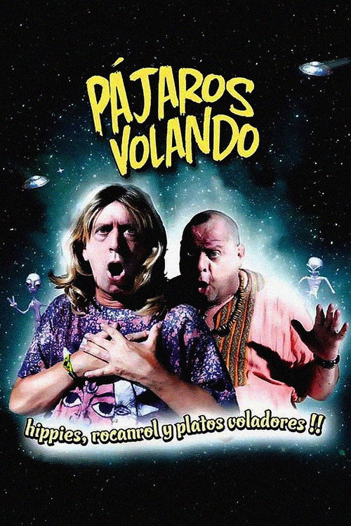 Movie poster for Pájaros volando (2010)