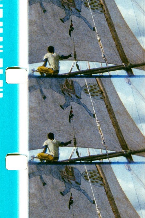 Movie poster for The Horse of the Prophet (2011)