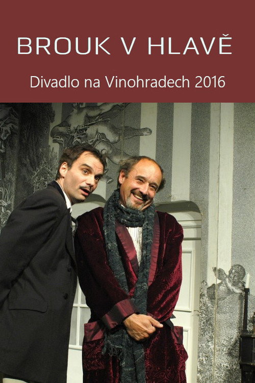 Movie poster for Brouk v hlavě (2020)