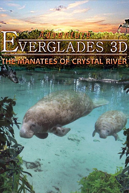 Movie poster for Adventure Everglades 3D - The Manatees of Crystal River (2012)