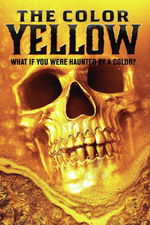 Movie poster for The Color of the Sun (2024)