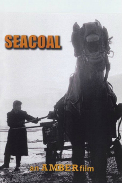 Movie poster for Seacoal (1985)