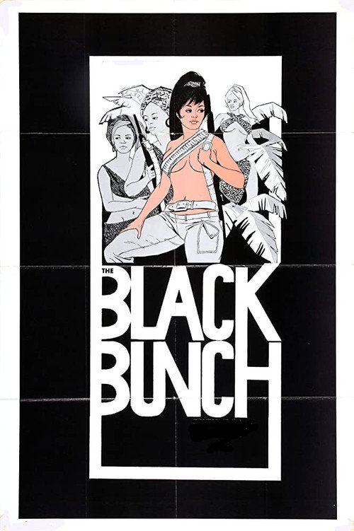 Movie poster for The Black Bunch (1973)