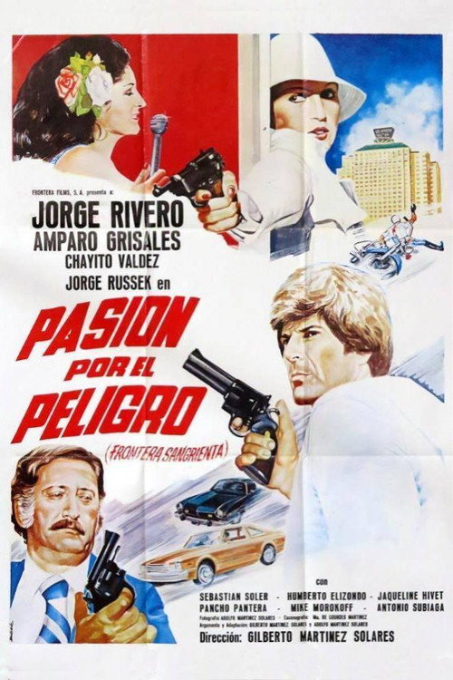 Movie poster for Pasión por el peligro (1979)