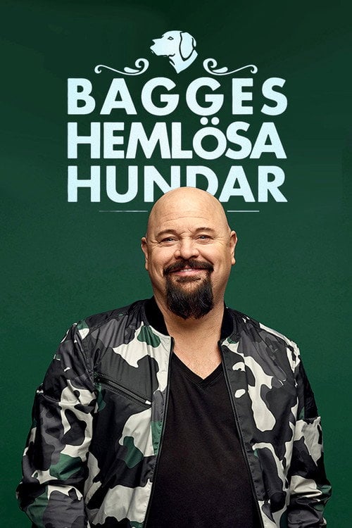 Series poster for Bagges hemlösa hundar (2017)