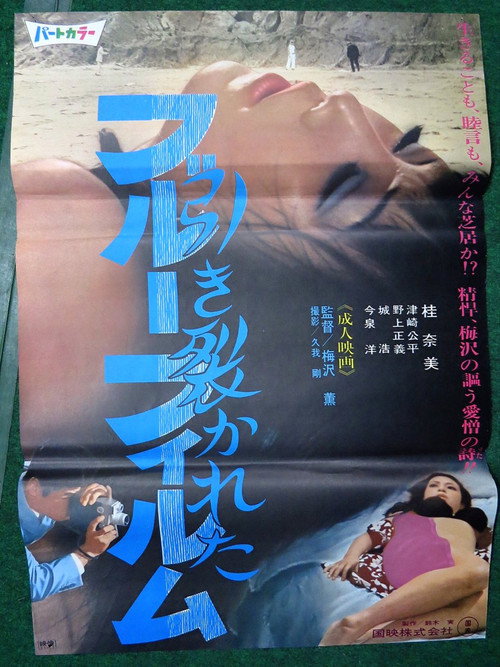 Movie poster for Hikisakareta burū firumu (1969)