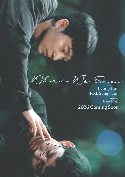 Movie poster for What We Saw