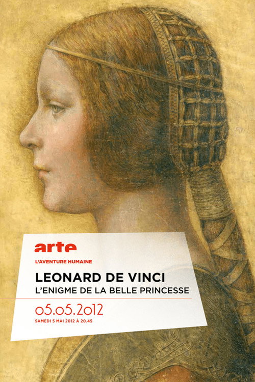 Movie poster for L'énigme de "La belle princesse" - Léonard de Vinci (2010)