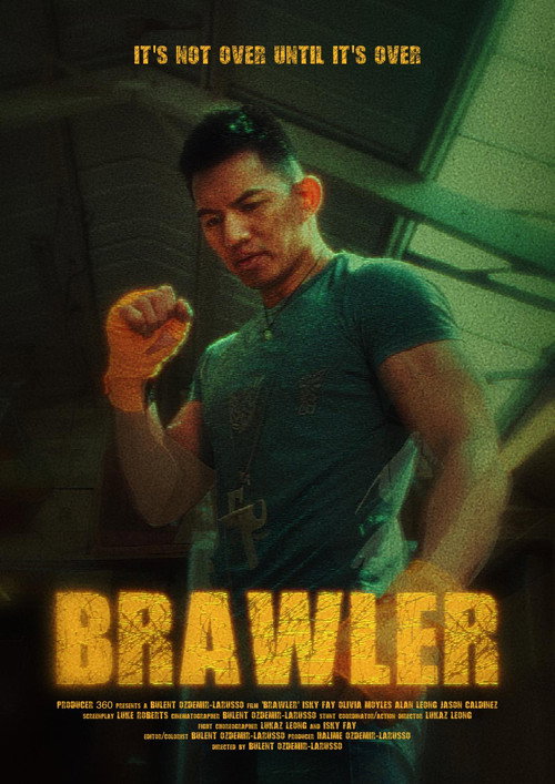 Movie poster for Brawler (2024)