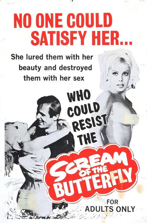 Movie poster for Scream of the Butterfly (1965)
