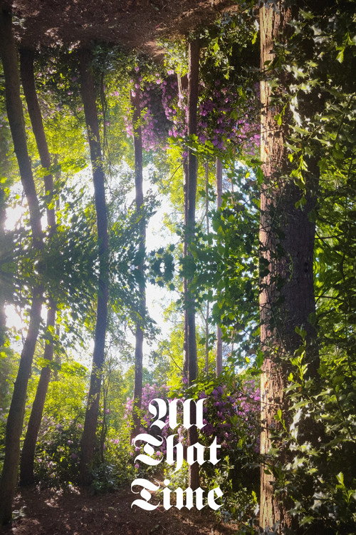 Movie poster for All That Time (2024)