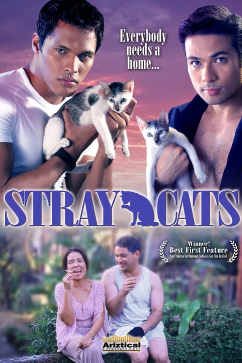 Movie poster for Mga Pusang Gala (2005)