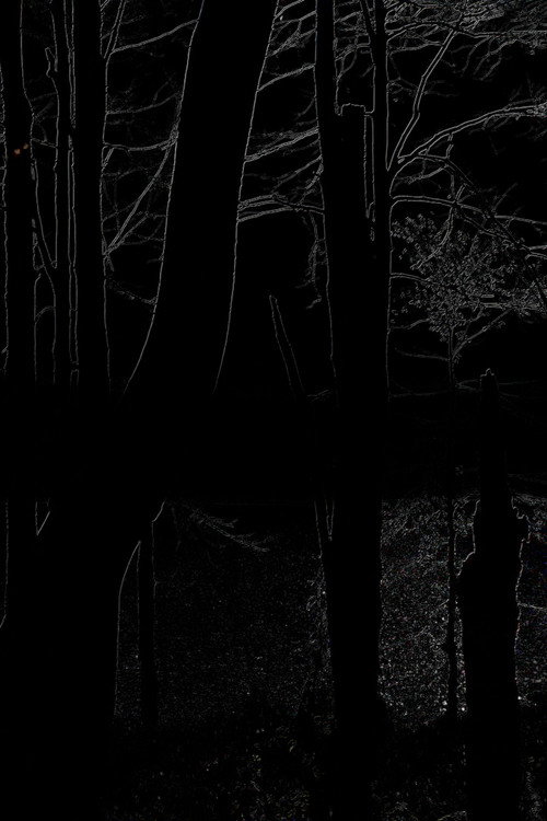 Movie poster for The Heart of the Wood (2025)