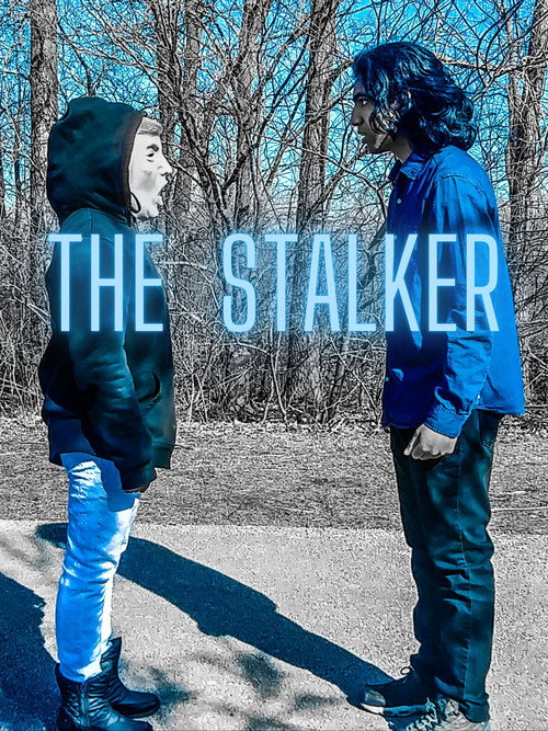 Movie poster for The Stalker (2023)