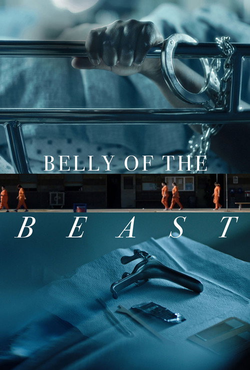 Movie poster for Belly of the Beast (2020)